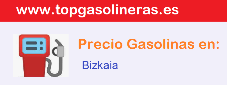 Gasolineras Bizkaia