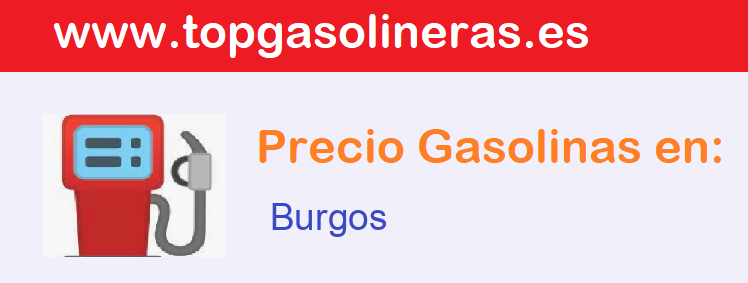 Gasolineras Burgos