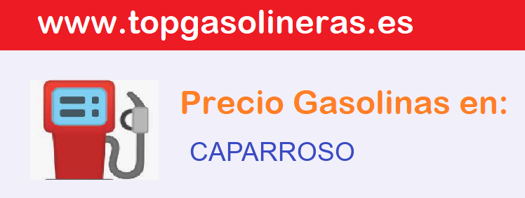 Gasolineras en  caparroso