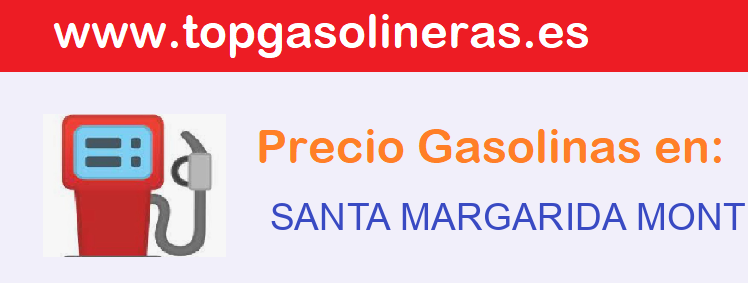 Gasolineras en  santa-margarida-montbui